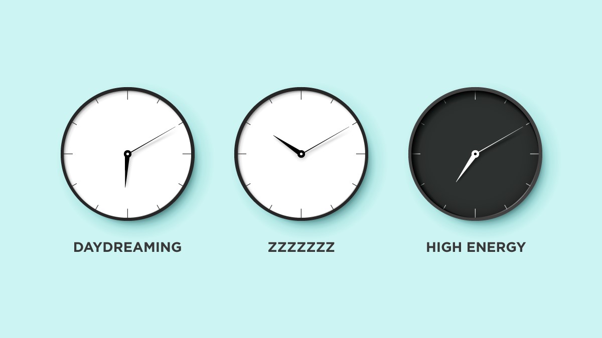 Find Your Most Productive Hours