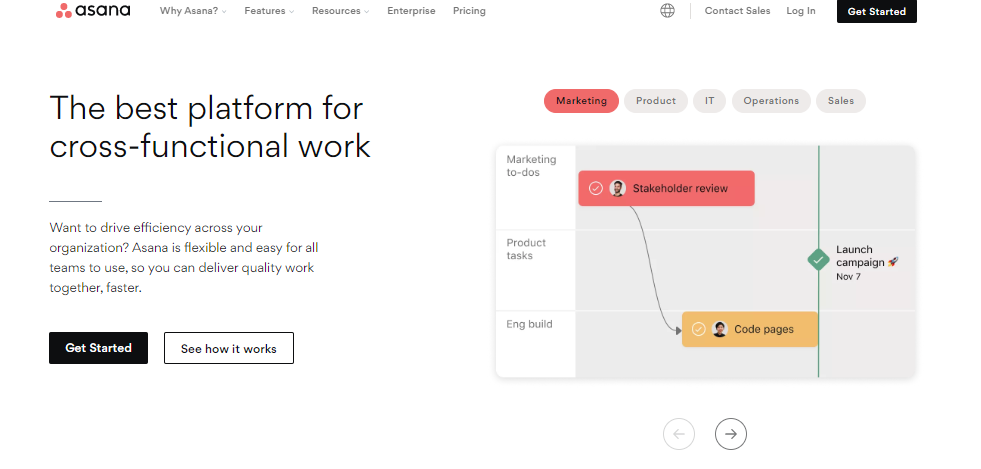 Asana Digital Planner