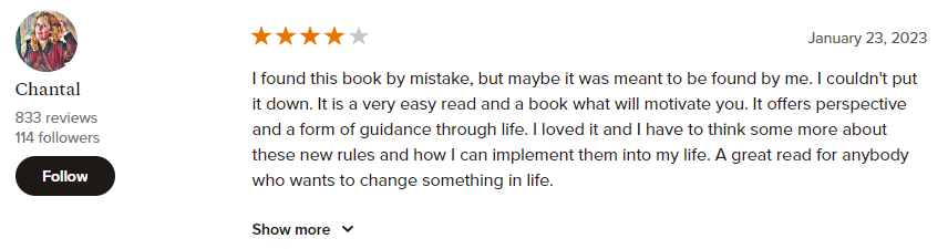 The Book of Mistakes rating