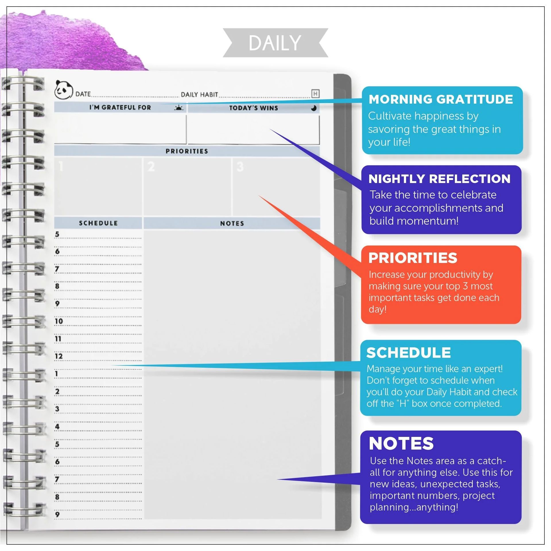 Gratitude and Affirmation Sections