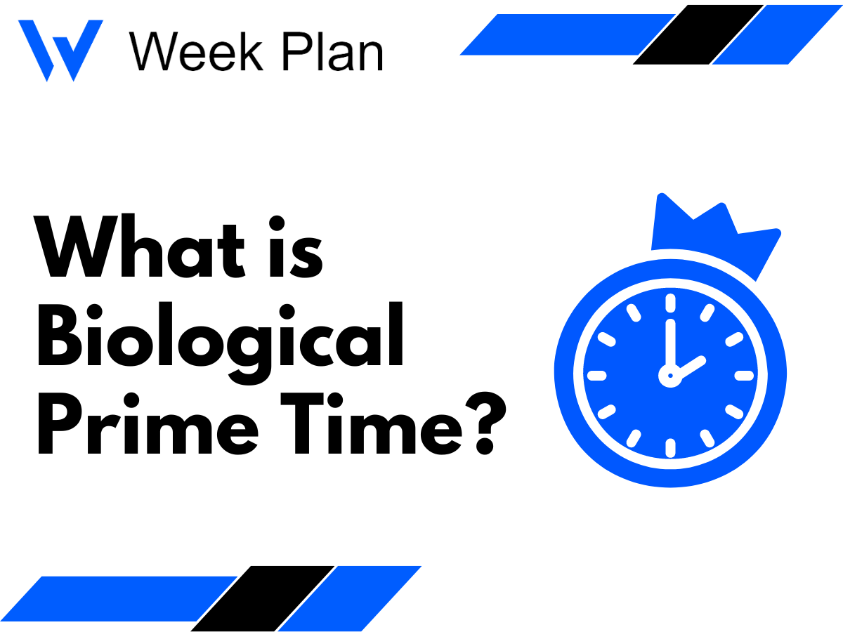 What is Biological Prime Time? 