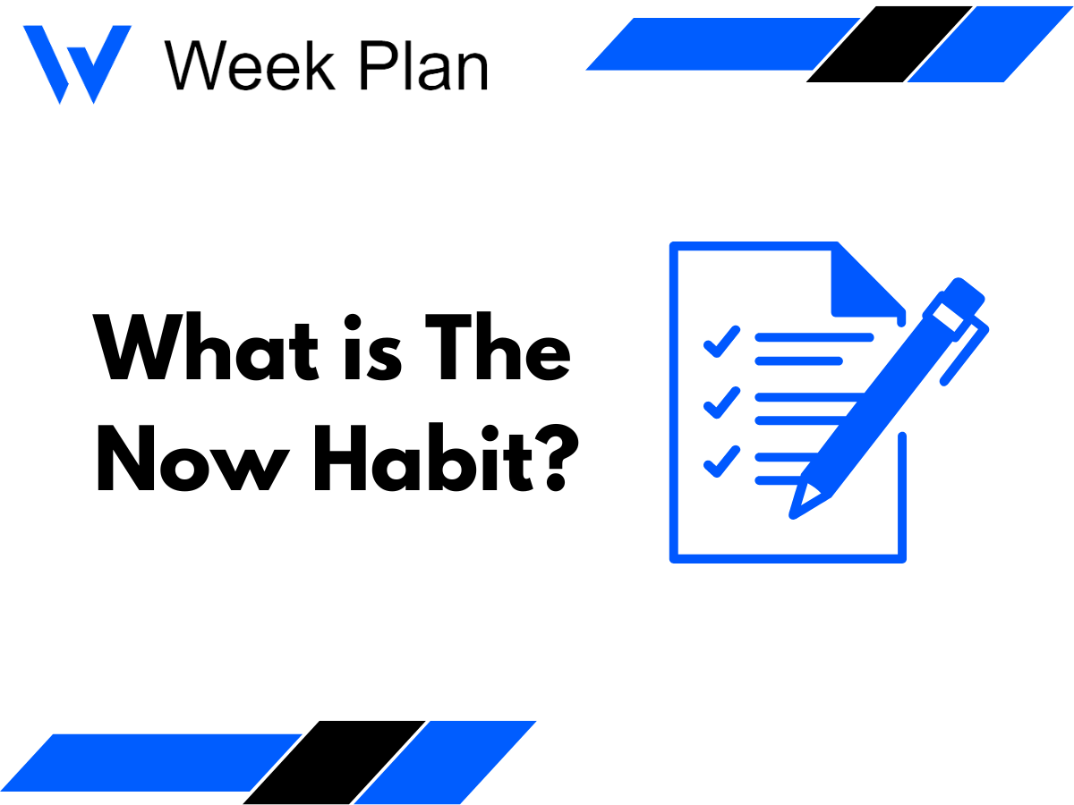 What is The Now Habit?