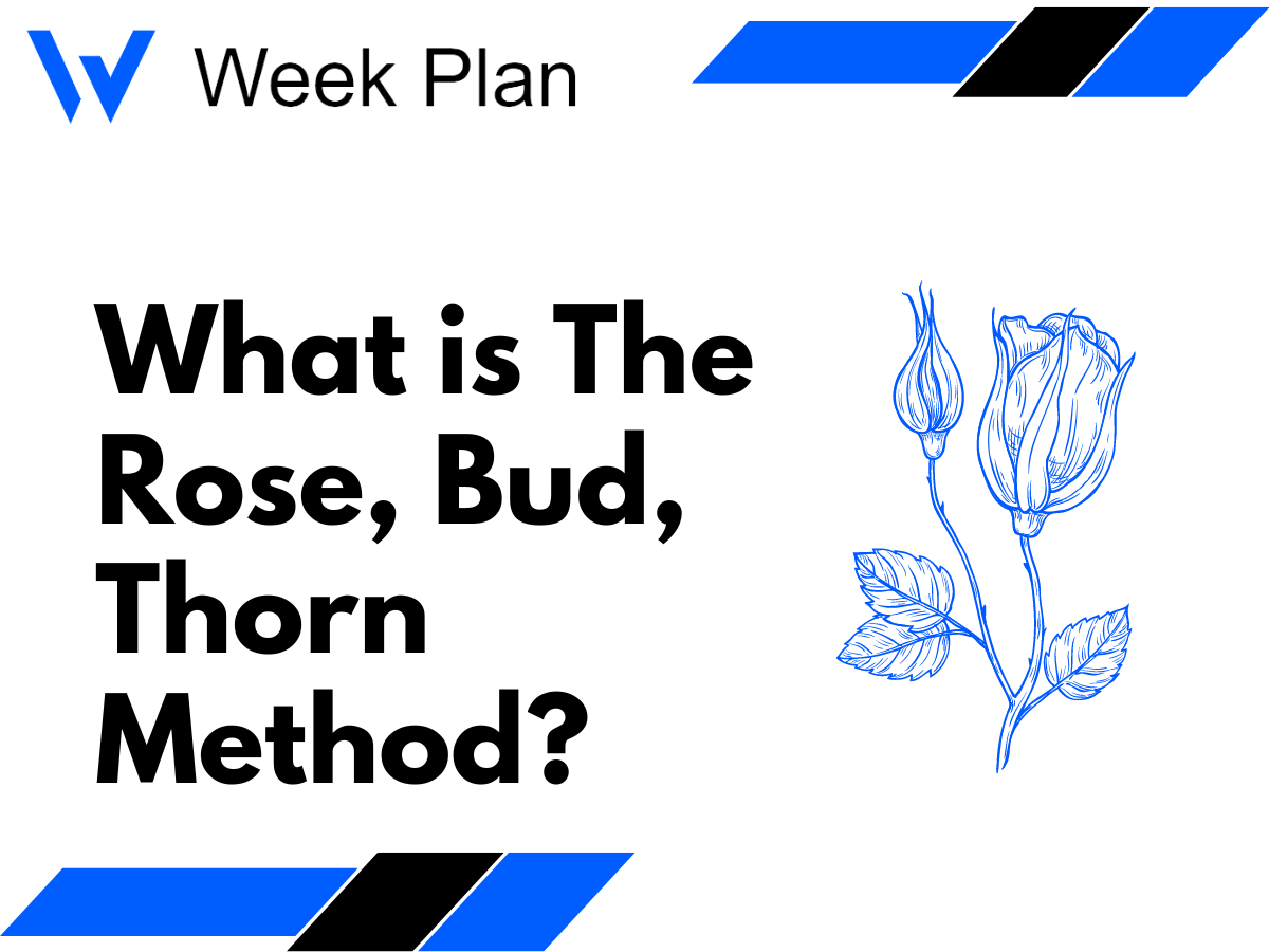 What is The Rose, Bud, Thorn Method?