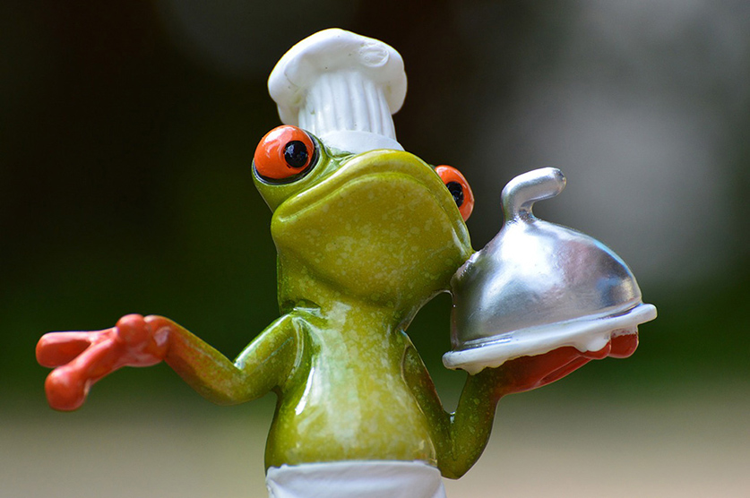Problem That Many Entrepreneurs Face Frog with Catering Dish