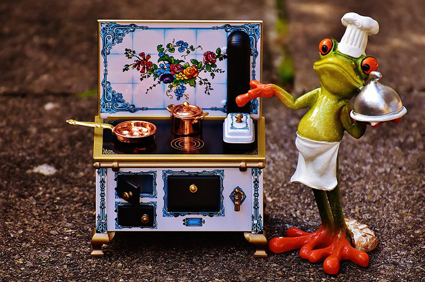 5 Steps to Eat Your Frog Frog Standing with Gas Stove