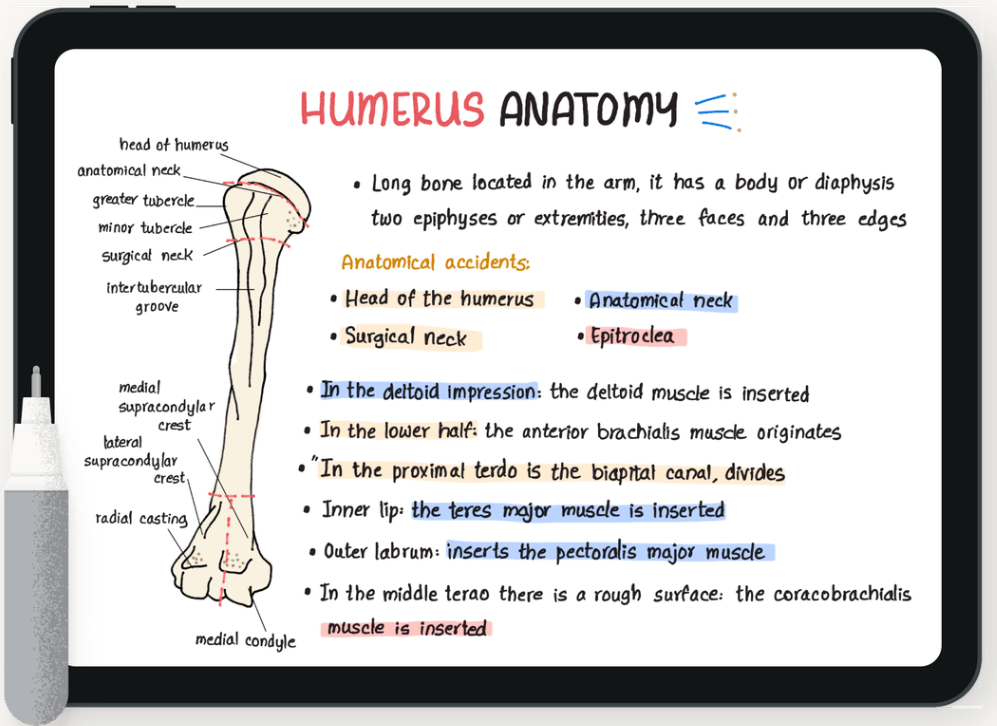 noteshelf-creative-journaling-features-36