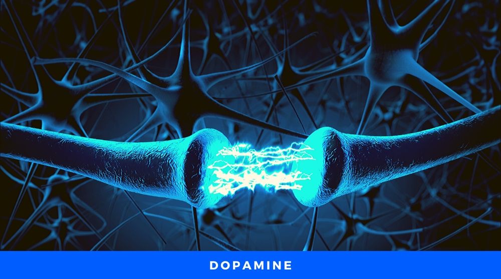 Increasing Dopamine Naturally