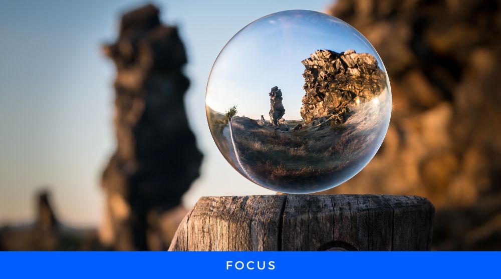 Lens Focusing the tree