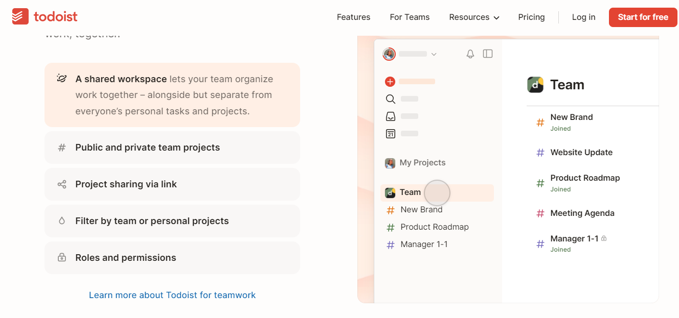 Project Feature of Todoist Planner