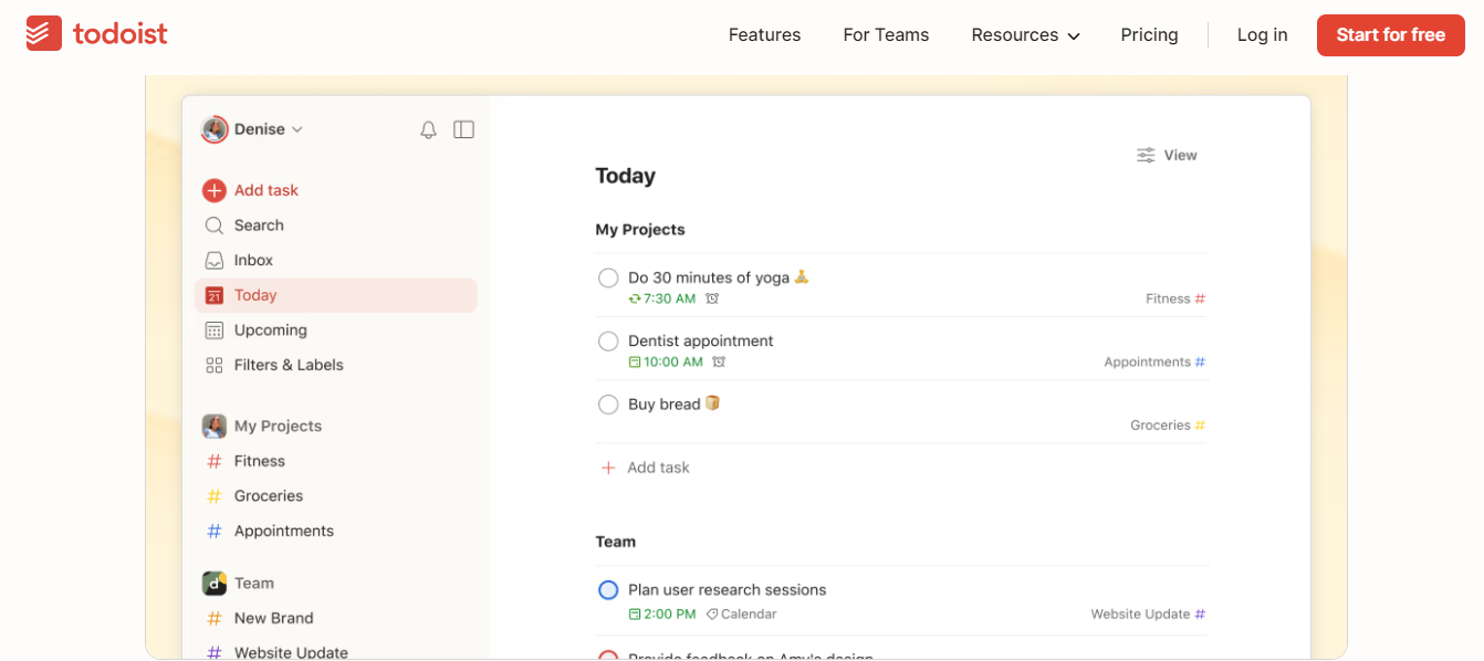 Task Feature of Todoist Planner