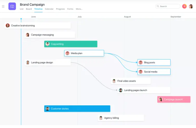 Task Management in Asana Planner