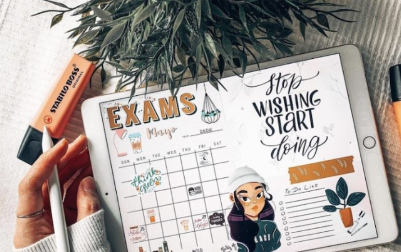 zinnia-iPencil-compatibility-241